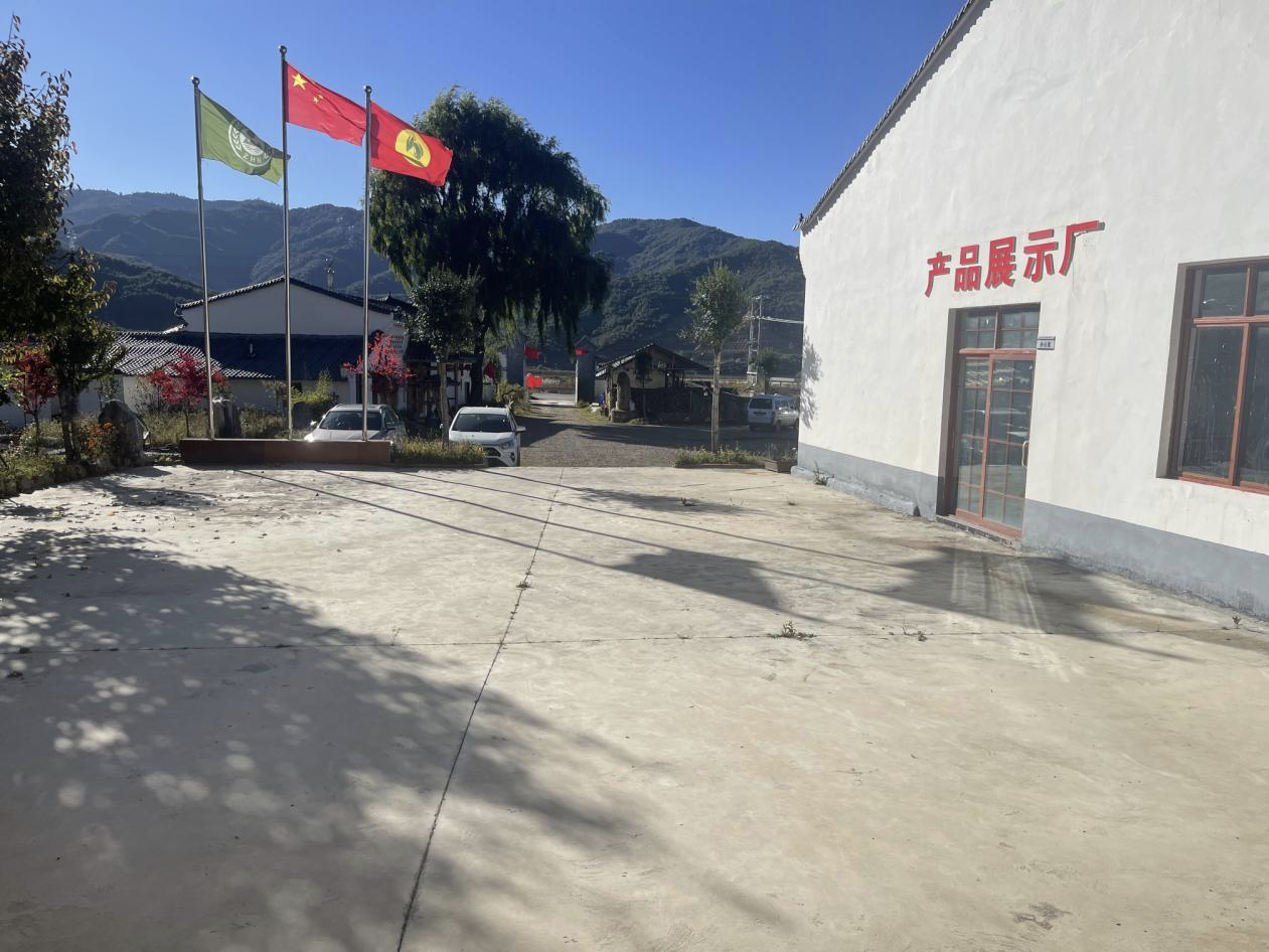 关于丽水市精美印刷有限公司等3户合计2256.43万元本金及其利息债权拟转让的招商公告